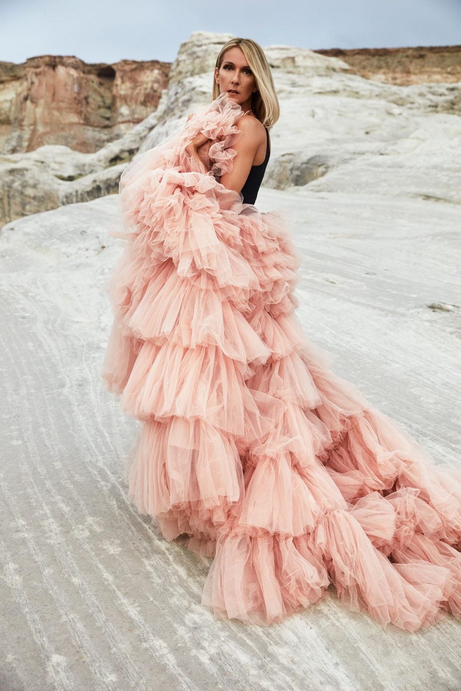 Céline Dion, album S'il suffisait d'aimer